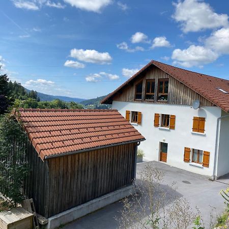 L'Apparte, 83M² Pour S'Evader En Famille Ou A Deux Gérardmer Exteriör bild