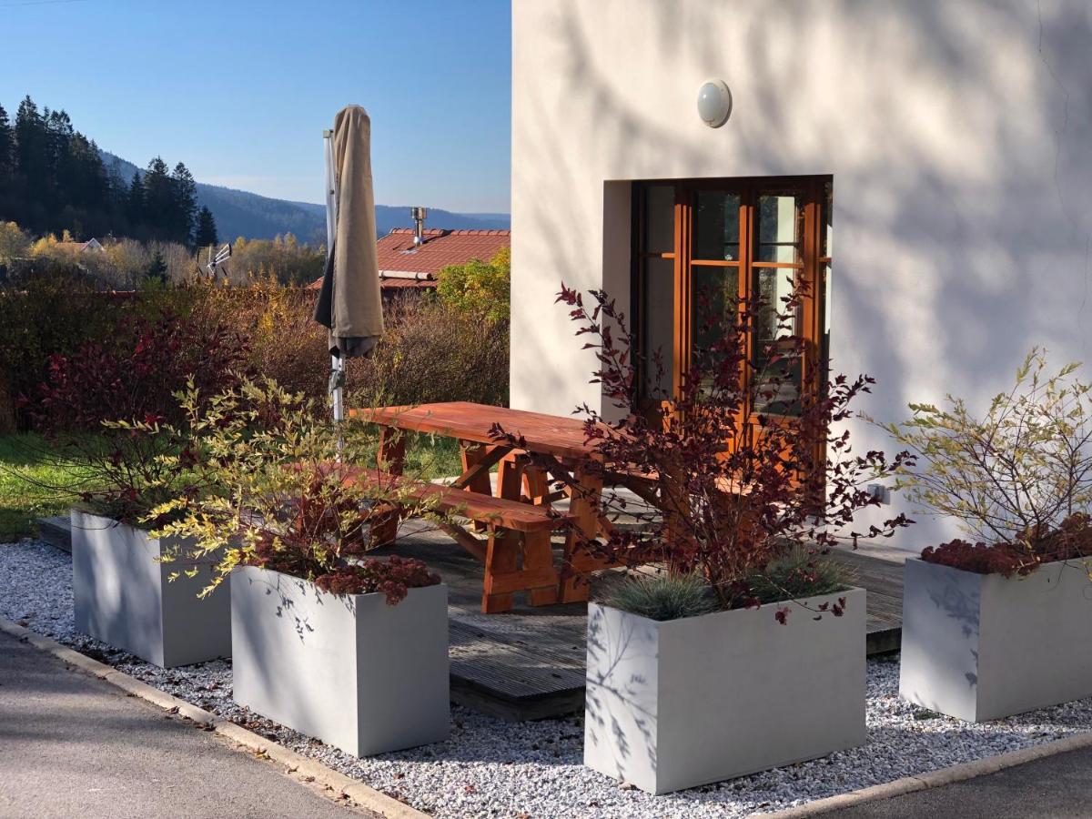 L'Apparte, 83M² Pour S'Evader En Famille Ou A Deux Gérardmer Exteriör bild